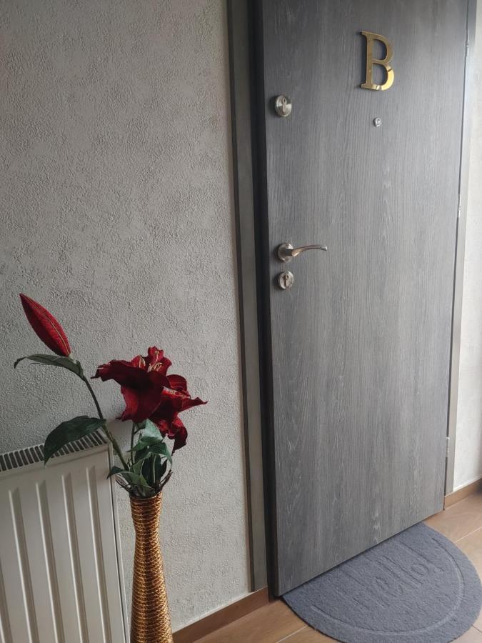 אילאווה Apartamenty U Zofii מראה חיצוני תמונה