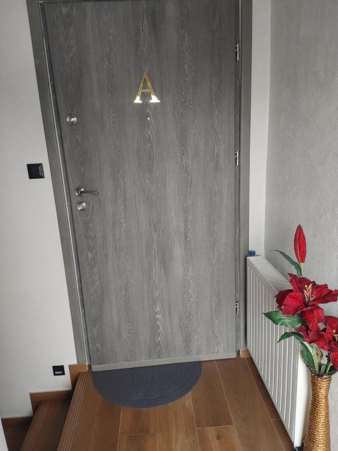 אילאווה Apartamenty U Zofii מראה חיצוני תמונה